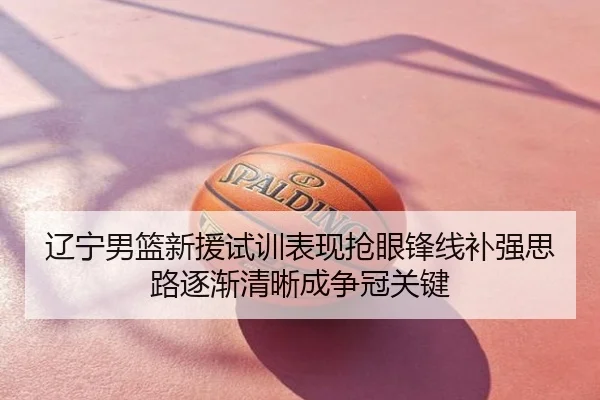 辽宁男篮新援试训表现抢眼锋线补强思路逐渐清晰成争冠关键